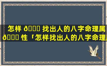 怎样 💐 找出人的八字命理属 💐 性「怎样找出人的八字命理属性呢」